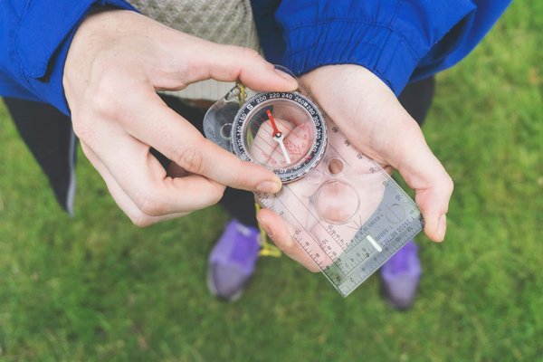 L'ethnobotanique en formation : explorer les liens entre plantes et cultures